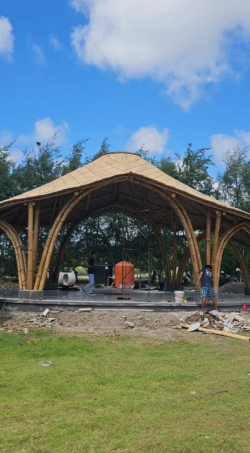 Angkasa Bamboo - RoveGarden